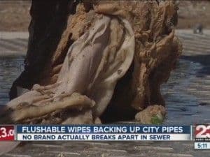 clovercreekmud_flushable-wipes_20210624_1